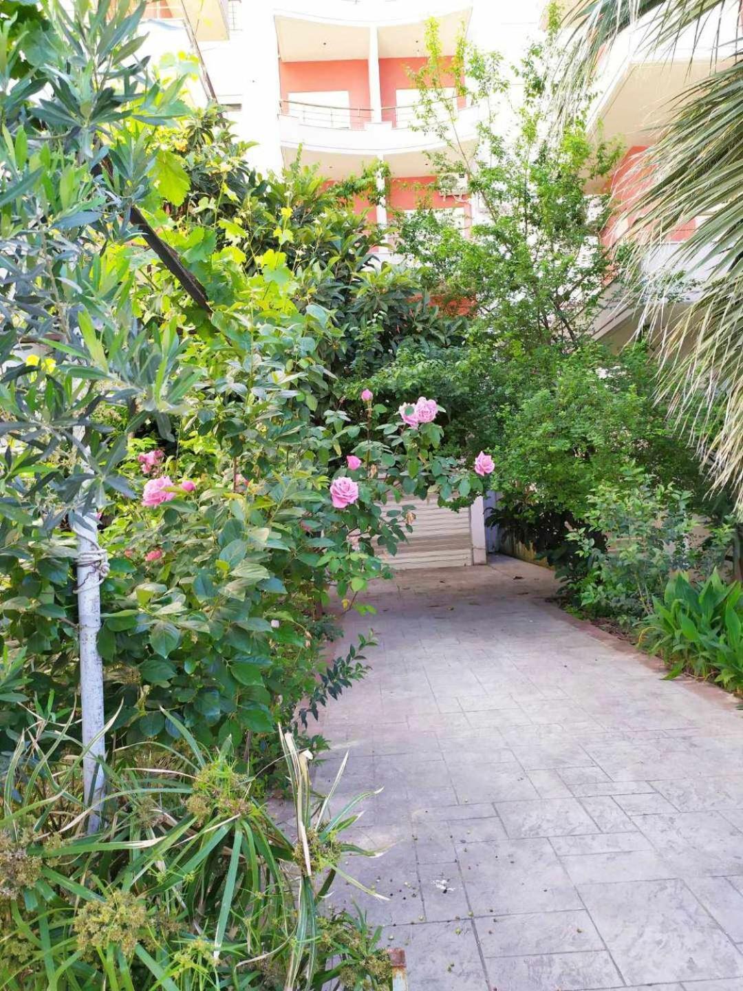 Valbona Apartments Vlorë 外观 照片